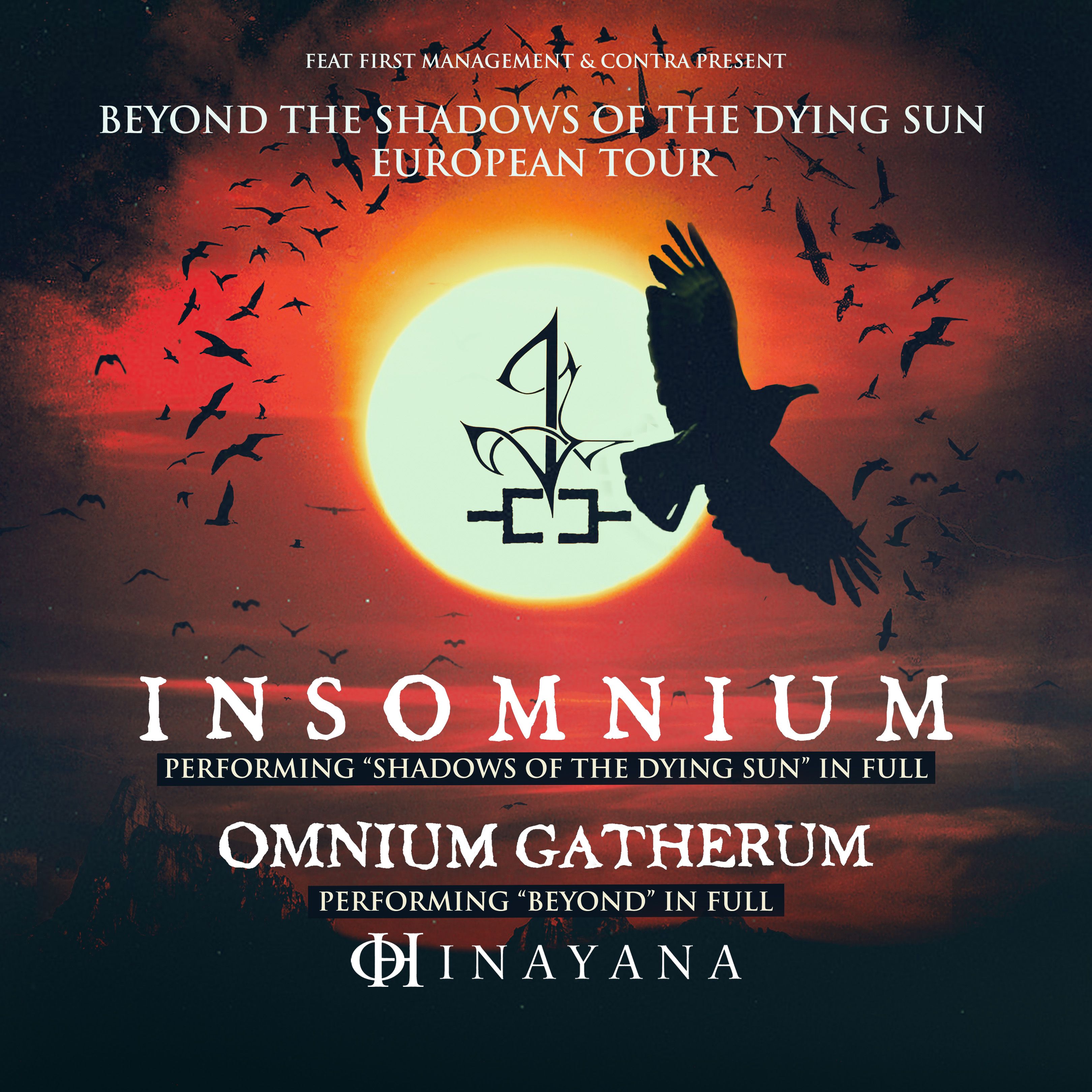【2枚組】LP INSOMNIUM shadows of the dying Insomnium – Shadows Of The Dying Sun – 2 x Vinyl (Grey
